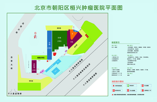 啊啊快操我逼视频北京市朝阳区桓兴肿瘤医院平面图